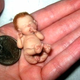 Illustration for article titled The 10 Most Horrifying Reborn Dolls
